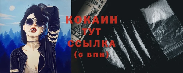 молекула духа Медвежьегорск