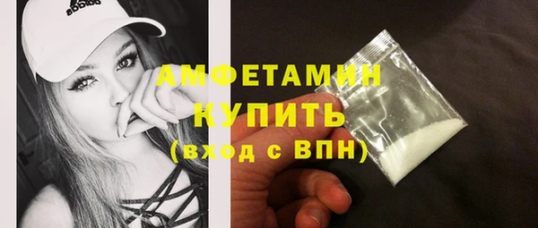 молекула духа Медвежьегорск