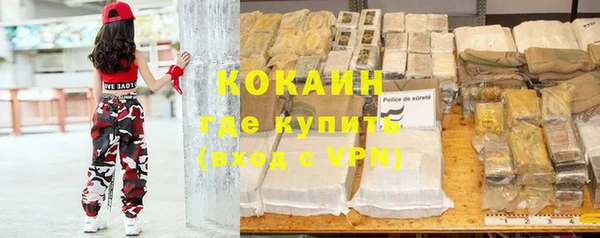 молекула духа Медвежьегорск