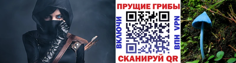 Галлюциногенные грибы Magic Shrooms Кисловодск